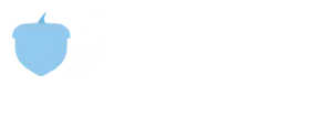 Acorn Financing