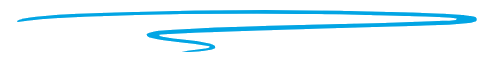 Decorative section divider graphic